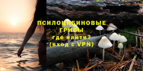 дмт Алзамай