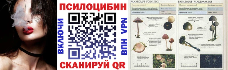 Псилоцибиновые грибы мицелий  Анива 